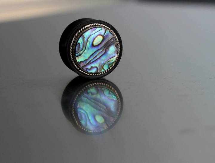 13403196_1189775054421730_6158682056594557880_o