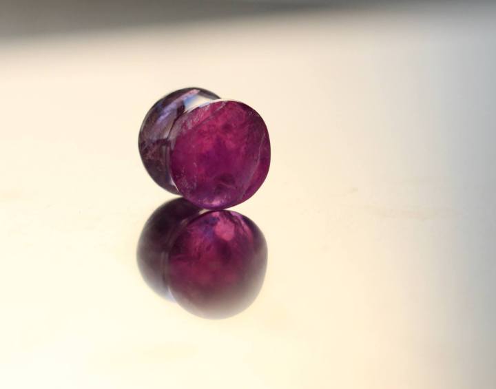 13411722_1189776071088295_55286318339266756_o