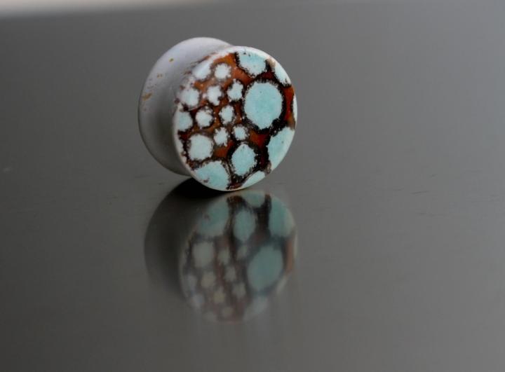 13415413_1189775494421686_8445575811456155208_o