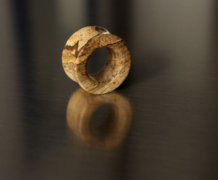 13415653_1189777431088159_45921286113821140_o