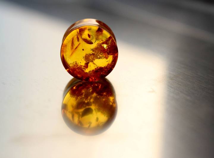 13418430_1189775787754990_4369292585041136356_o