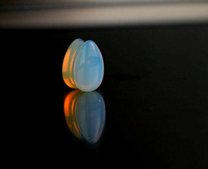 13418463_1189776584421577_959932529017235430_o