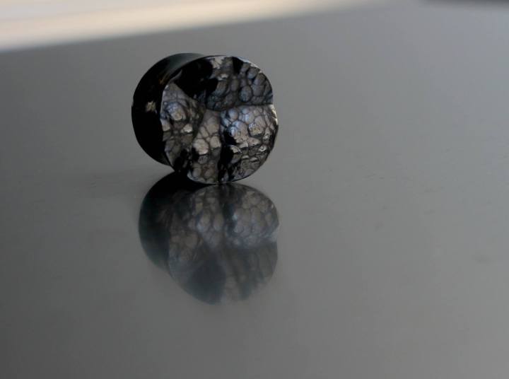 13422407_1189775661088336_6504019711640946300_o