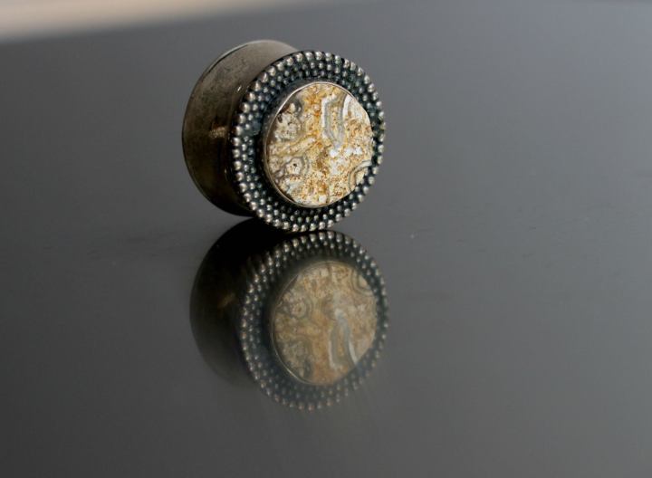 13483079_1189774851088417_8505041755230199154_o