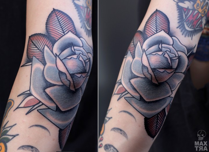 rosa gomito ludovica