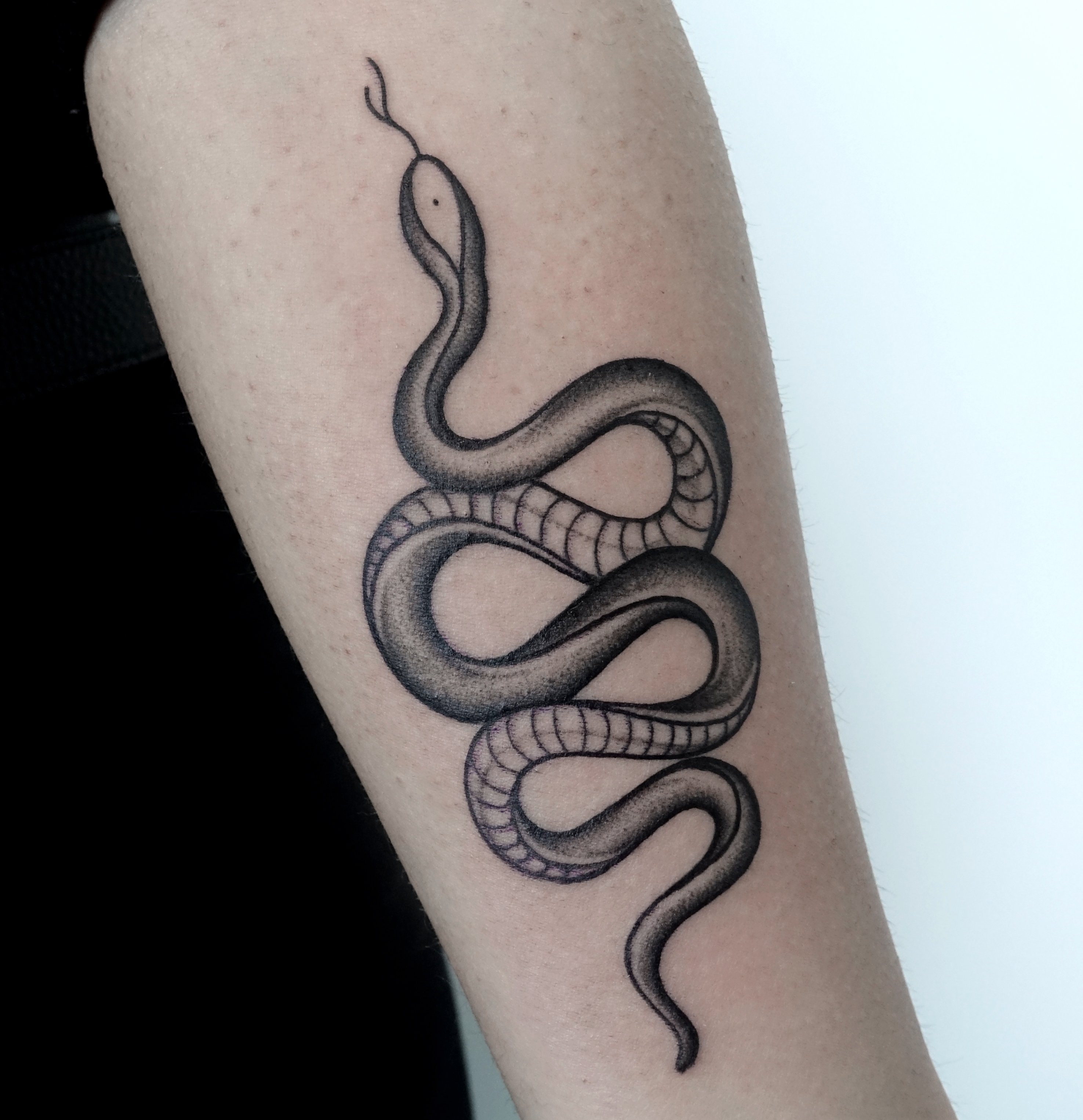 snake braccio1