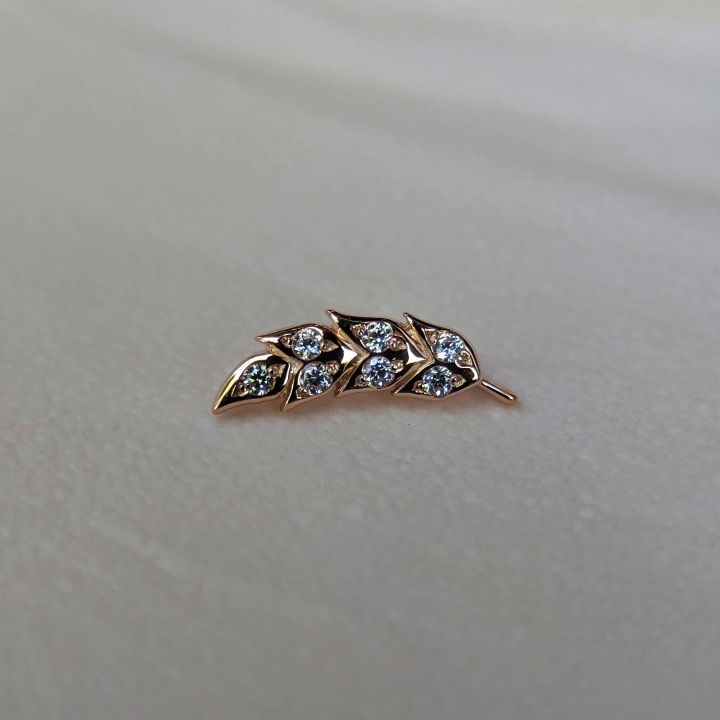 348460268_270721365402559_2770974855436126941_n