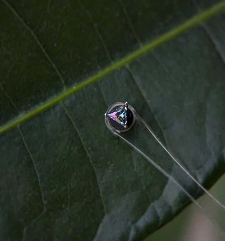 434068164_916637237139143_781109875978226475_n